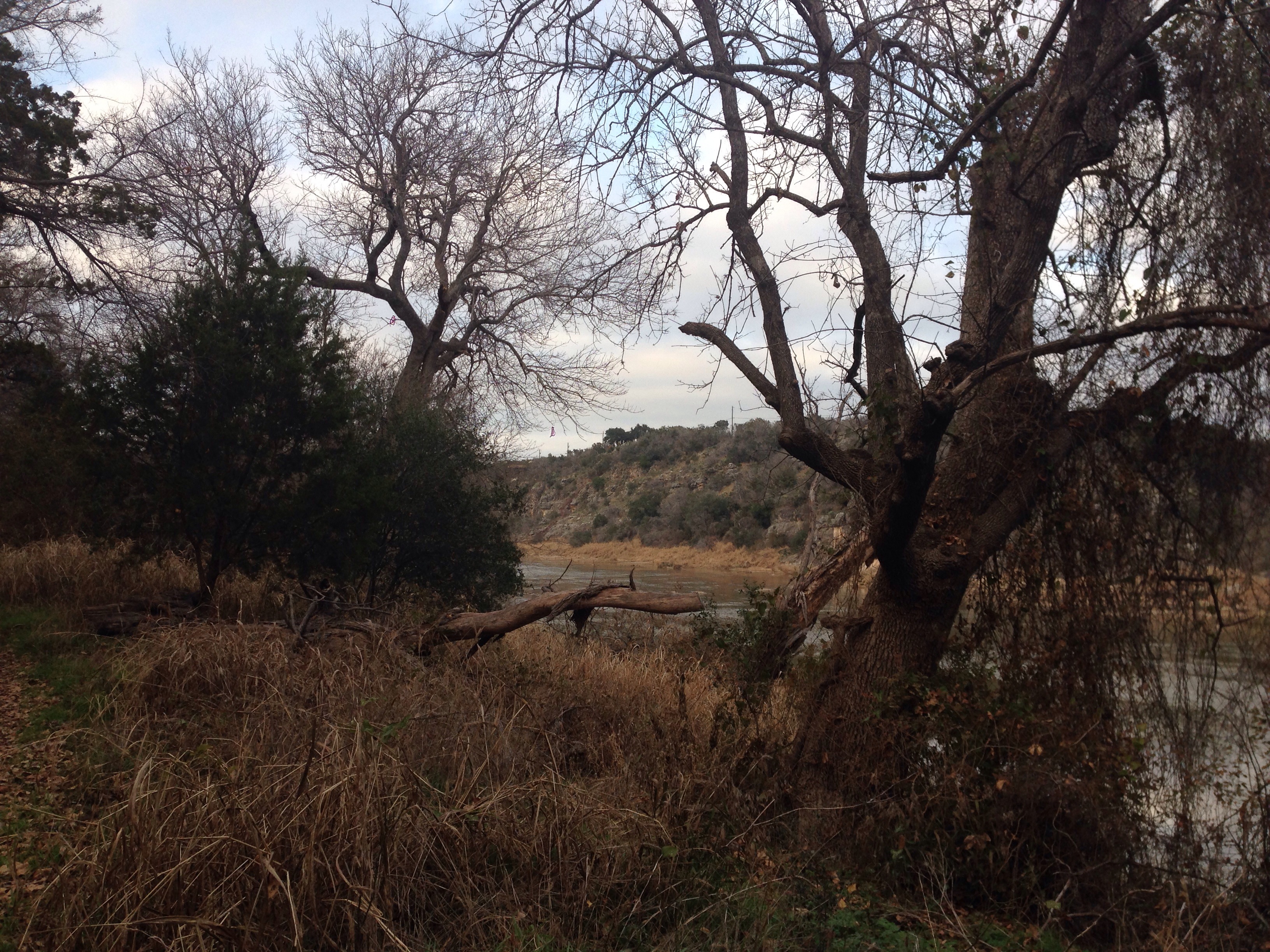 20131216-155519.jpg