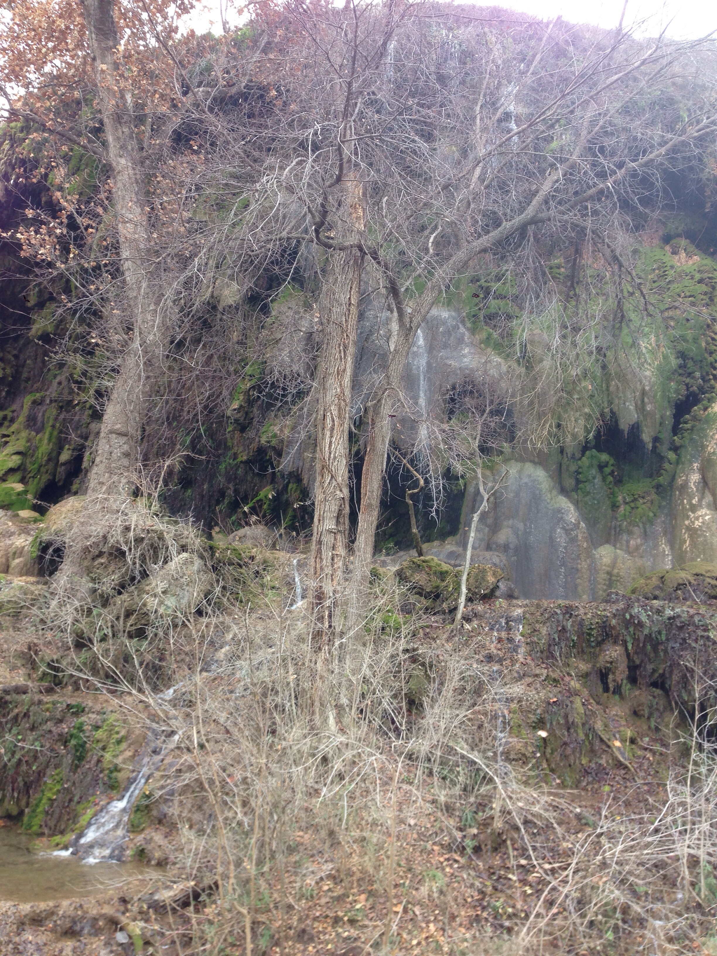 20131216-155950.jpg