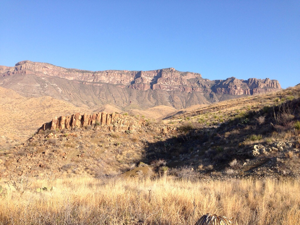 20140307-072650.jpg