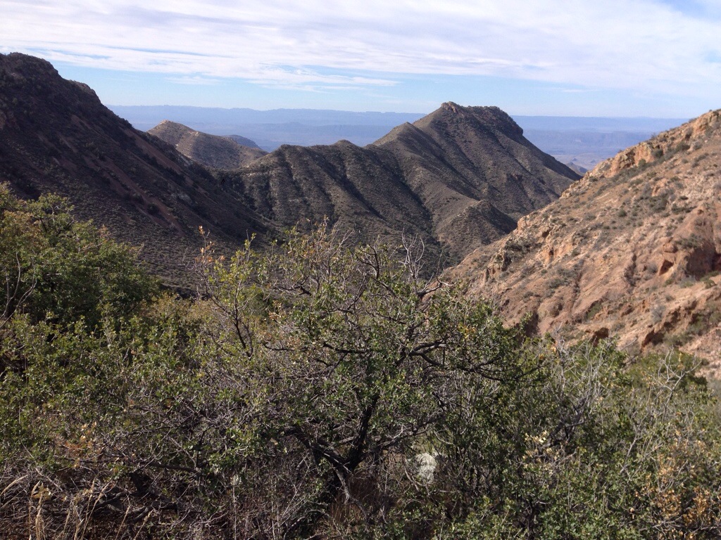 20140307-072720.jpg