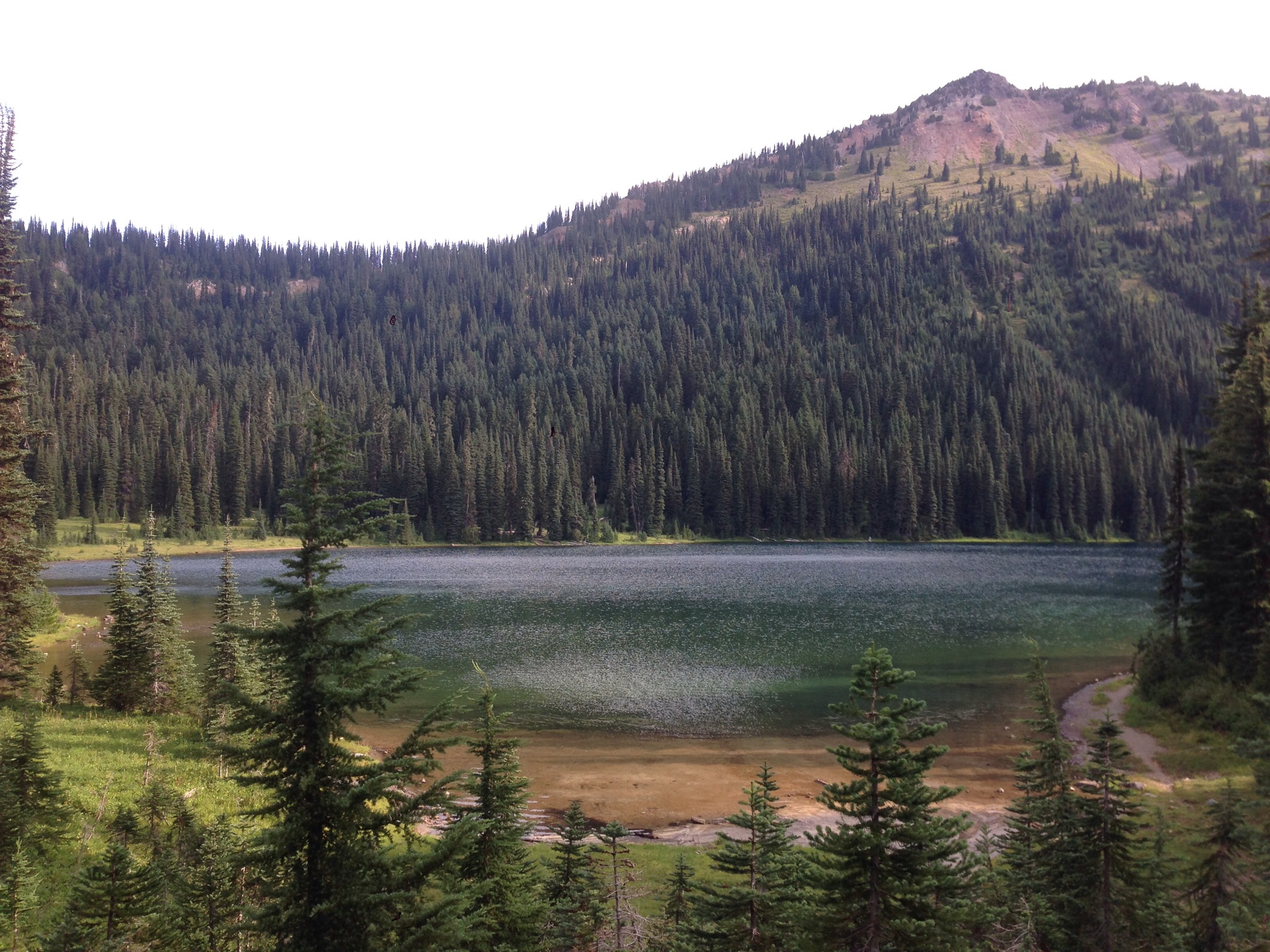 A scenic view Dewey Lake Truly onefootinfrontoftheother PCT